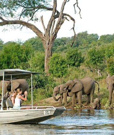 6D5N • 6-day Hwange, Chobe & Victoria Falls Combo