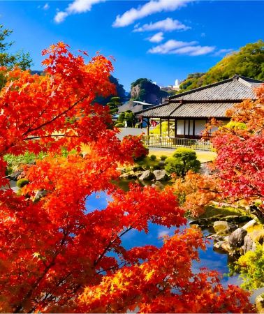 6D5N • Kyushu Autumn Foliage Discovery: Kumamoto Castle, Sakurajima, Sengan-en, Takachiho Gorge, and Ibusuki Sand Bath