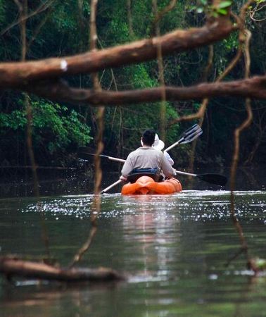 5D4N • 5-Day Iguazu Falls: Remote Jungle Lodge & Flight from BA