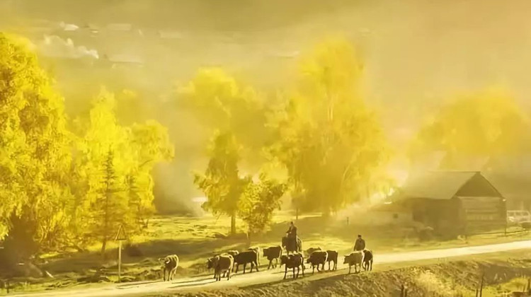 新疆乌鲁木齐+伊犁+伊昭公路+喀纳斯+禾木风景区+喀拉峻+白哈巴+巴音布鲁克14日13晚私家团·【大北疆14日 全景】含门票，省心游；喀纳斯深度+伊犁深度。资深司机带队。