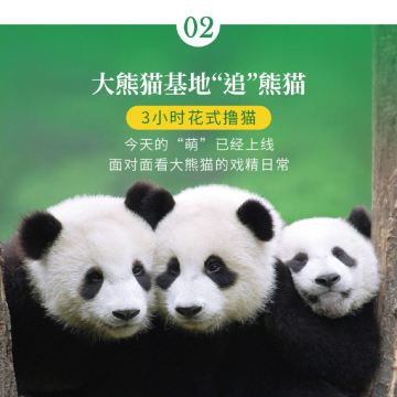 成都