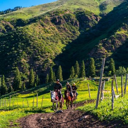 新疆北疆+伊犁8日7晚拼小团