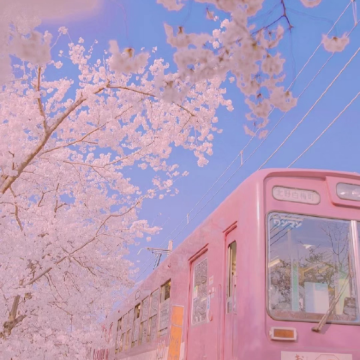 日本大阪+京都+奈良+东京7日6晚跟团游