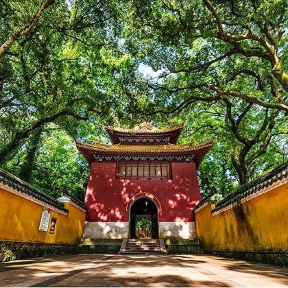 舟山普陀山风景区+洛迦山+朱家尖风景区5日4晚私家团