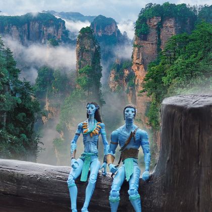 长沙+韶山旅游区+张家界+天门山+凤凰县6日5晚跟团游