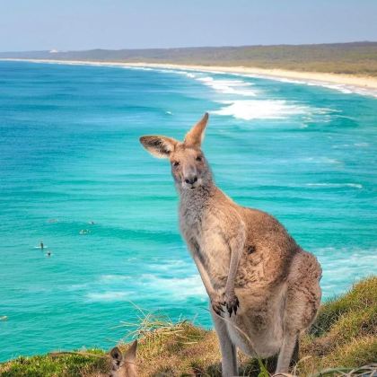 悉尼+布里斯班+黄金海岸+墨尔本11日9晚自由行