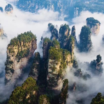 天门山国家森林公园+张家界国家森林公园2日1晚私家团