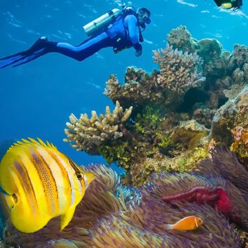 印度尼西亚巴厘岛+佩妮达岛+图兰奔+美娜多都会区10日9晚私家团