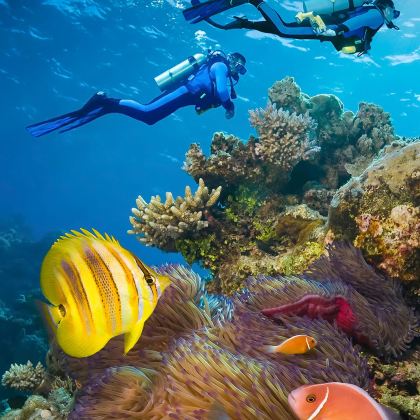 科莫多岛4日3晚私家团