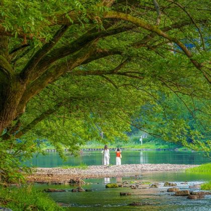 丽水+缙云仙都景区+云和梯田景区6日5晚私家团