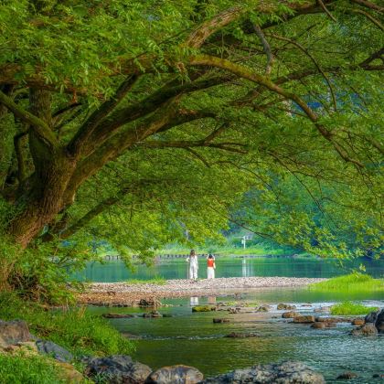 丽水+缙云仙都景区+云和梯田景区6日5晚私家团