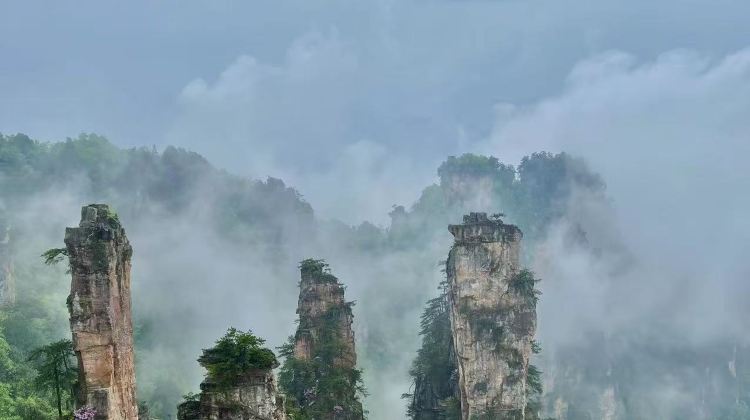 2D1N · Group Tours ·  6-Mini group tour + Zhangjiajie + Zhangjiajie National Forest Park + Yuanjiajie&Gift Bailong Sky Ladder + Yangjiajie Cableway&with 4 adults to upgrade to villa