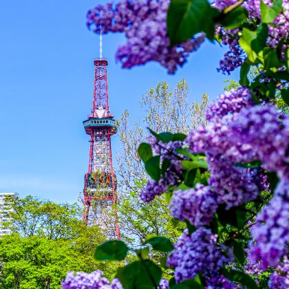 日本北海道登别+函馆+札幌8日7晚自由行