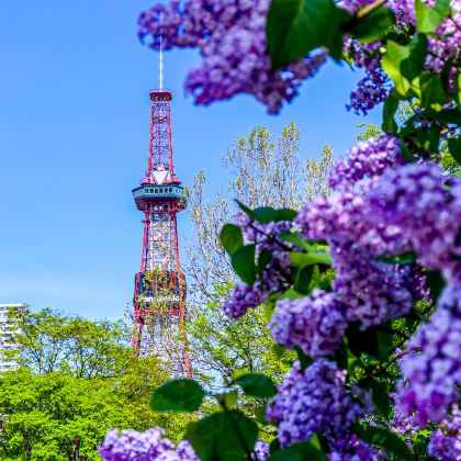 日本北海道登别+函馆+札幌8日7晚自由行
