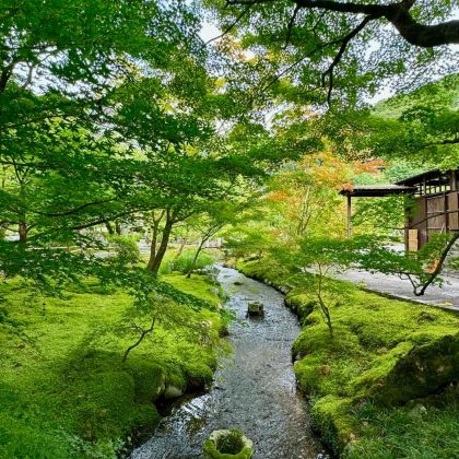 日本东京+富士山+大阪+京都+奈良市8日7晚跟团游