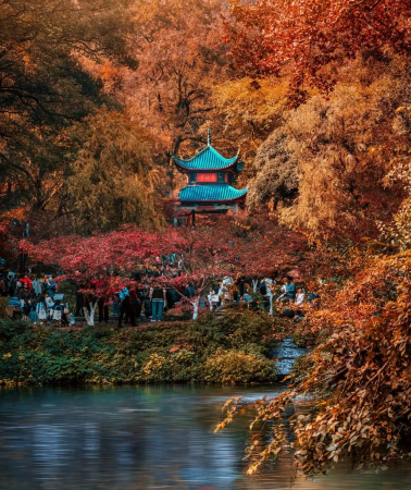 5D4N • Changsha + Zhangjiajie + Fenghuang County