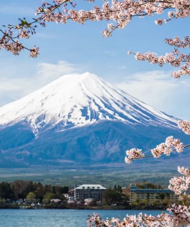 6天5晚 • 東京富士山親子出行・東京自由行 + 箱根溫泉巡禮・專車接駁體驗・都市古寺遊樂體驗・富士山湖景記憶點