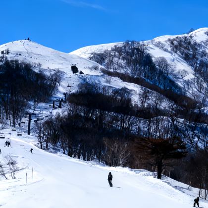 大阪+京都+岚山嵯峨野观光小火车+琵琶湖+三千院+白马村+草津温泉+河口湖11日10晚拼小团