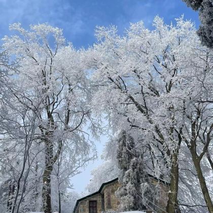 河南信阳3日2晚私家团