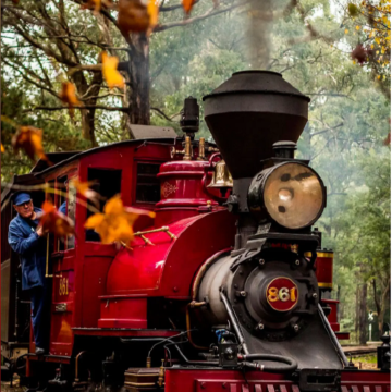 澳大利亚墨尔本+企鹅归巢7日5晚私家团