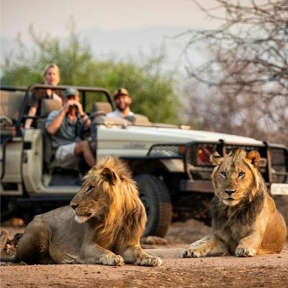 肯尼亚8日6晚拼小团