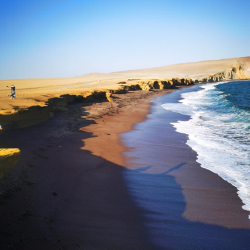 秘鲁鸟岛+瓦卡奇纳2日1晚跟团游