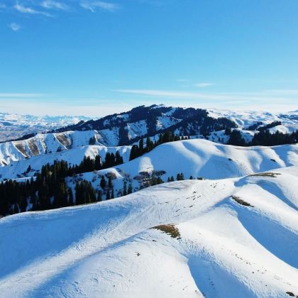 新疆北疆+伊犁+伊宁市+那拉提旅游风景区+赛里木湖3日2晚拼小团