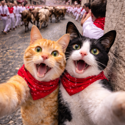 巴塞罗那+萨拉戈萨+潘普洛纳+马德里8日7晚私家团