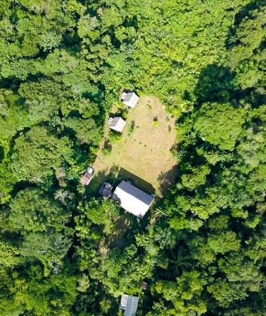 3D2N • Amazon Paradise 3 Days and 2 Nights Ecolodge