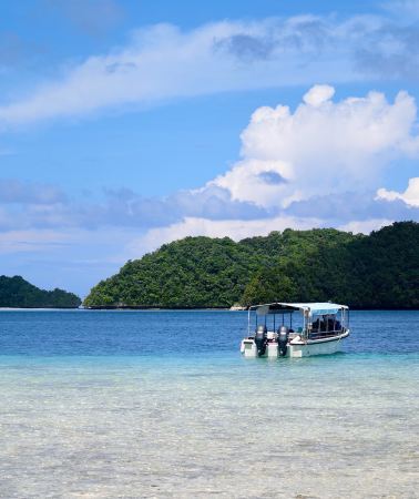 6日5晚 • 廣東話導遊｜帕勞帛琉淺海悠遊｜3 天出海＋水母湖牛奶湖＋1日自由行｜舒適住宿｜送市區遊及透明槳板