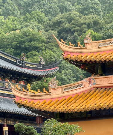 3D2N • 3-day 2-night guided tour to Putuo Mountain, Zhejiang