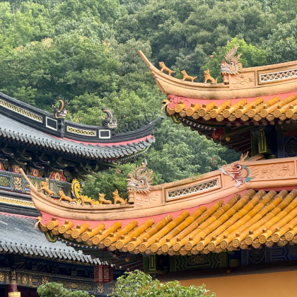 浙江普陀山风景区4日3晚拼小团