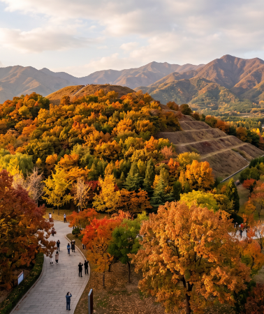 5D4N • Terracotta Warriors and Horses in Xi'an, Huaqing Palace, Mount Hua - 20 people