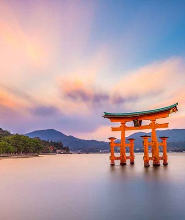 8D7N • Japanese Essences