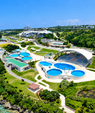 4D3N • Naha + Cape Zanpa + Kadena Air Base + Southeast Botanical Gardens + Cape Chinen Park + Mibaru Beach + Gyokusendo Cave + Itoman fishing cooperative Fish Center + Senaga Island