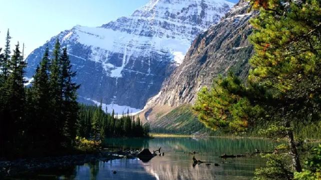 7-Day Rocky Mountains Tour from Vancouver·Jasper National Park, Columbia Glacier and Town of Banff | Vancouver one Free Day