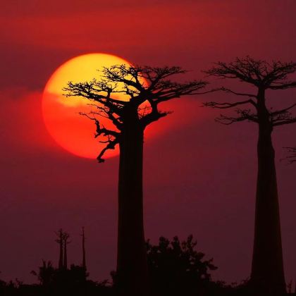 马达加斯加11日10晚跟团游