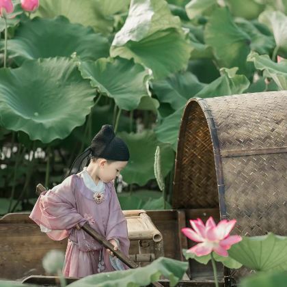 西双版纳+普者黑景区6日5晚私家团