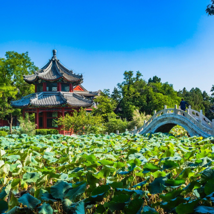 石家庄+西柏坡景区+保定+直隶总督署+雄安新区+定州古城5日4晚跟团游