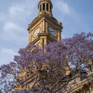 澳大利亚悉尼+黄金海岸+墨尔本11日9晚私家团