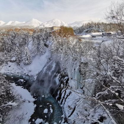 旭川9日8晚私家团