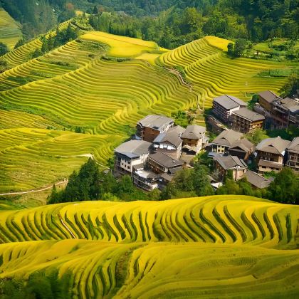 桂林+柳州+阳朔+龙脊梯田4日3晚私家团