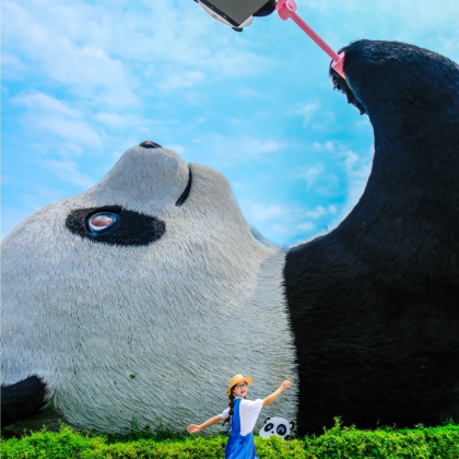 成都+成都大熊猫繁育研究基地5日私家团