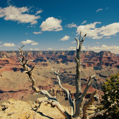 美国洛杉矶+拉斯维加斯+盐湖城+黄石国家公园+大峡谷国家公园8日7晚私家团