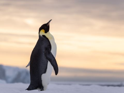 【贵州飞览天下文化发展有限公司招聘】-猎聘
