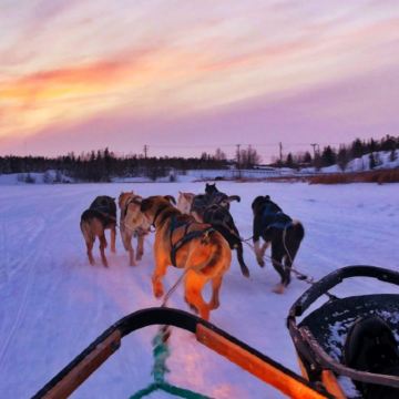 加拿大西北地区耶洛奈夫5日4晚跟团游