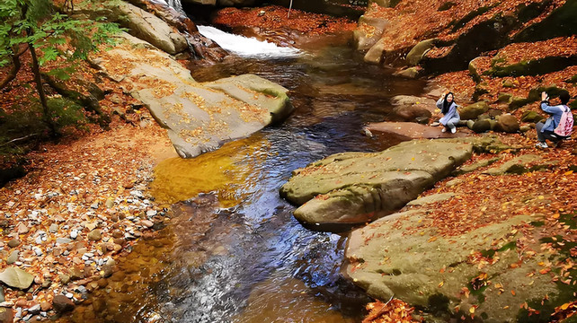 九寨沟自由行攻略：省钱避坑玩转仙境