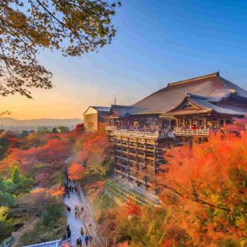 日本大阪+京都+奈良+宇治市4日3晚跟团游