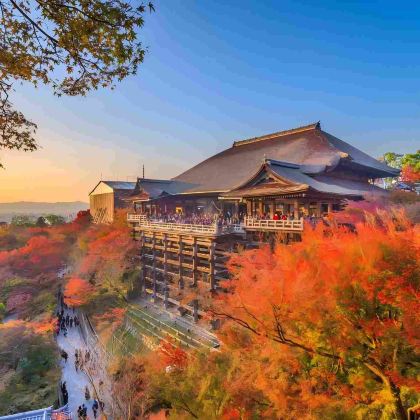 日本大阪+京都+奈良+宇治市4日3晚跟团游