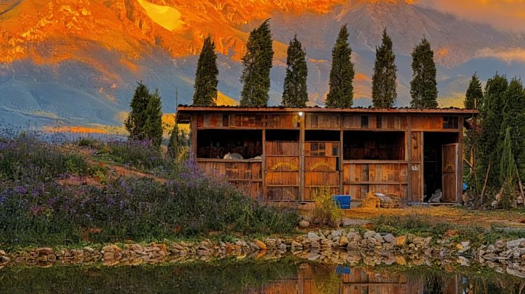8D7N · Group Tours · Yunnan + Kunming + Dali City + Lijiang + Lugu Lake Scenic Area